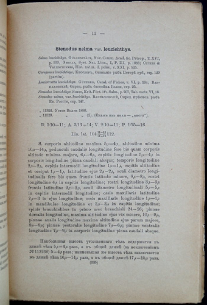 Данные по ихтиологической фауне бассейна реки Оби. II. Лососёвые породы рыб и описание из Обской губы (с 3 литографированными таблицами)