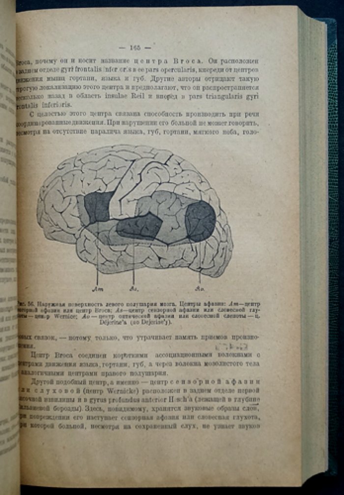 Учебник нервных болезней: анатомия, физиология, симптомология и лечение заболеваний нервной системы