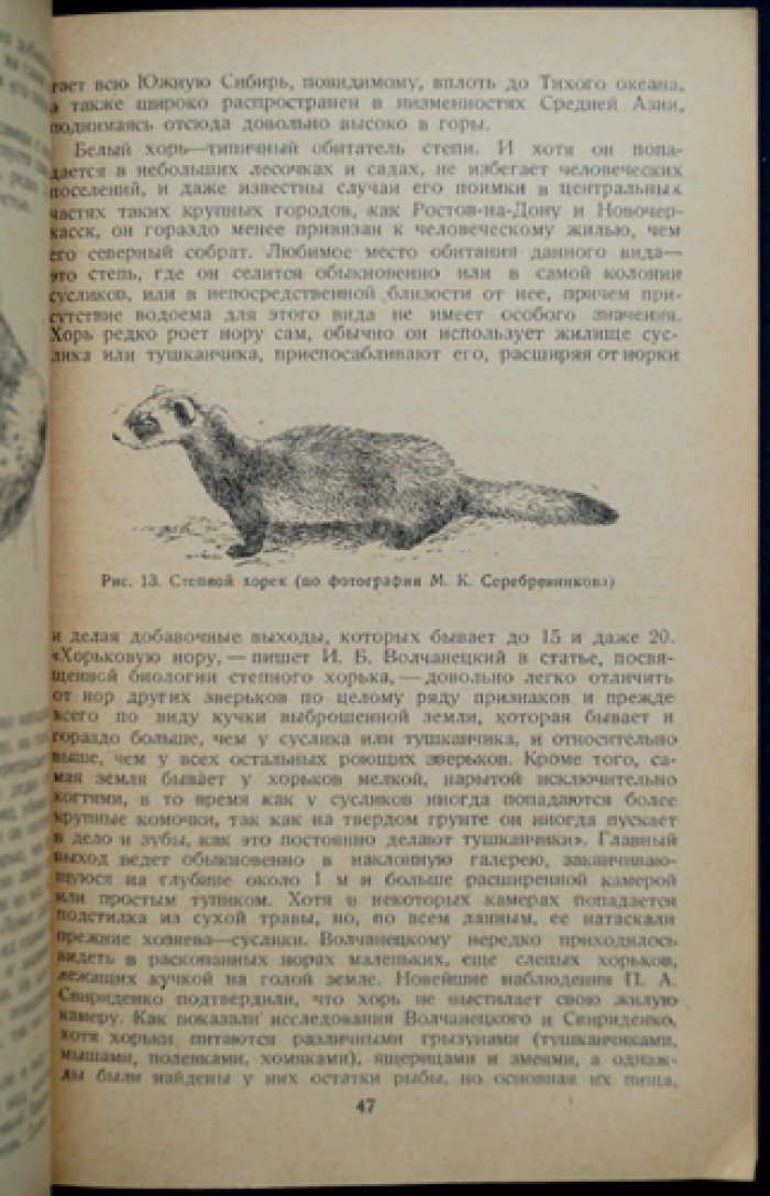 Очерки промысловых зверей и птиц (2-е издание, 1937)