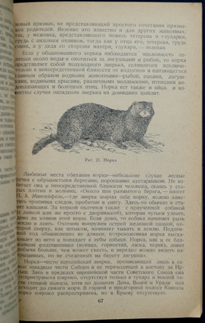 Очерки промысловых зверей и птиц (2-е издание, 1937)