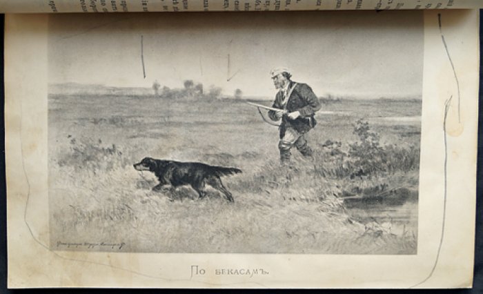 Природа и охота (1887) — Ежемесячный иллюстрированный журнал. № 7, июль