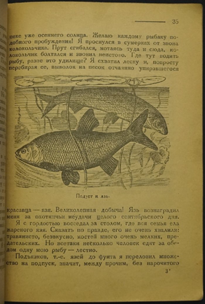 Евгений Дубровский (Лесник). Рыба и крючок