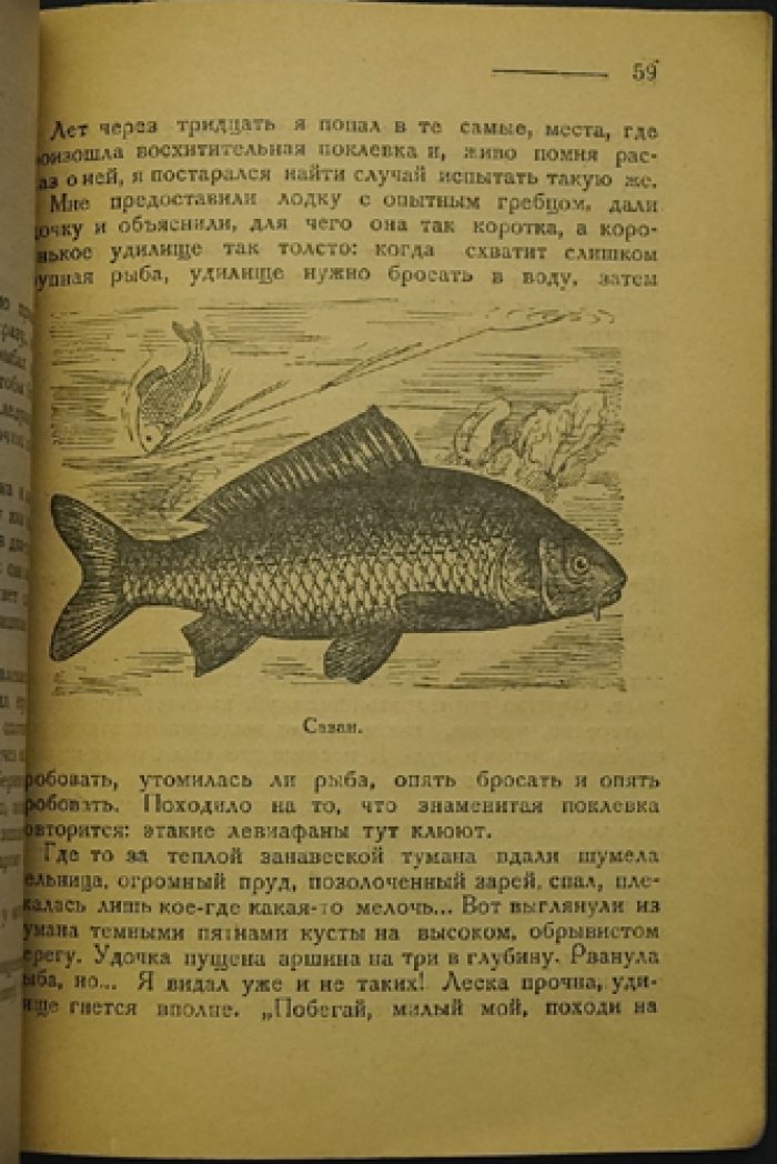 Евгений Дубровский (Лесник). Рыба и крючок