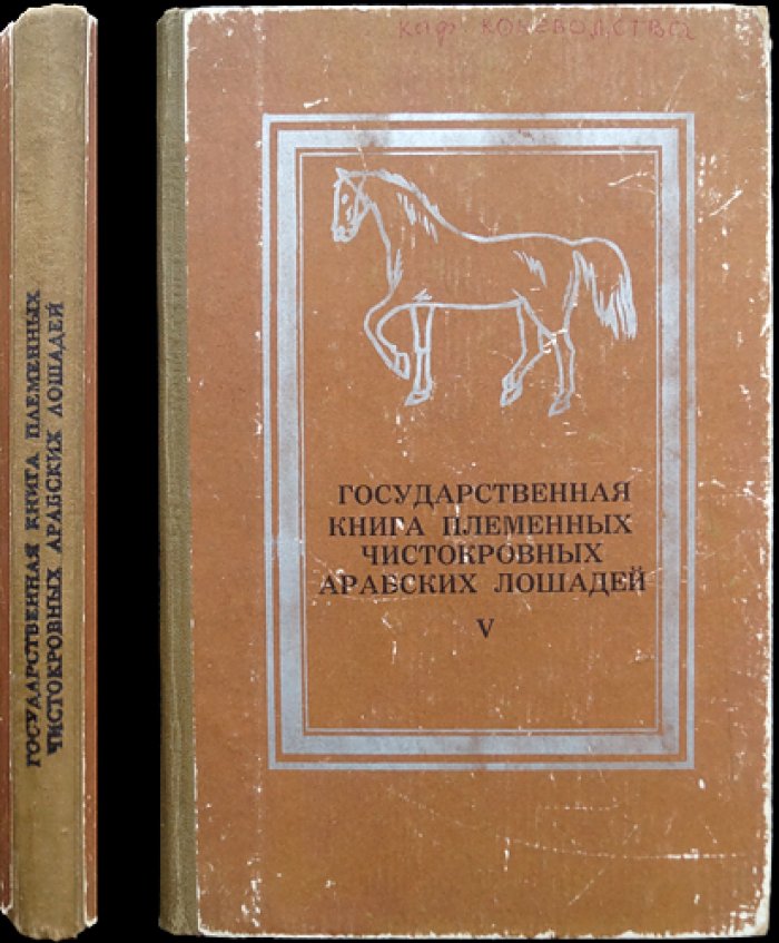 Государственная племенная книга чистокровных арабских лошадей. Том V