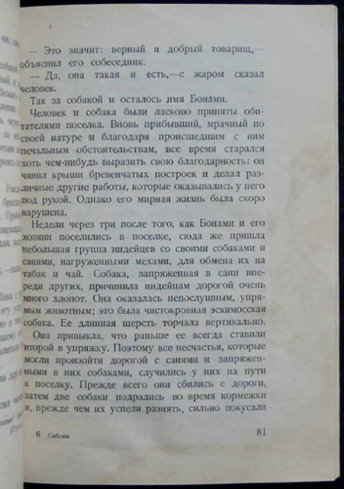 Собаки: необычайные рассказы из жизни собак (с иллюстрациями В. Ватагина)