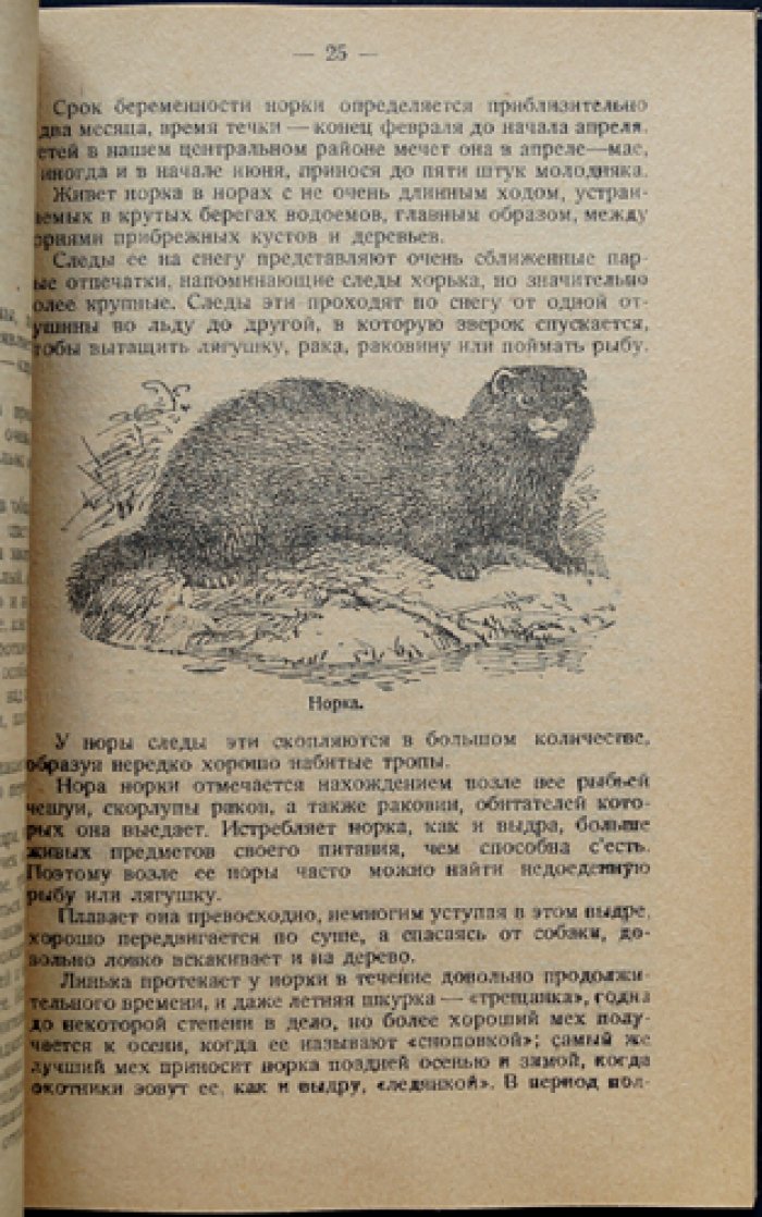 Промысловые звери пресных водоёмов СССР: речная выдра, норка, выхухоль, речной бобр и водяная крыса