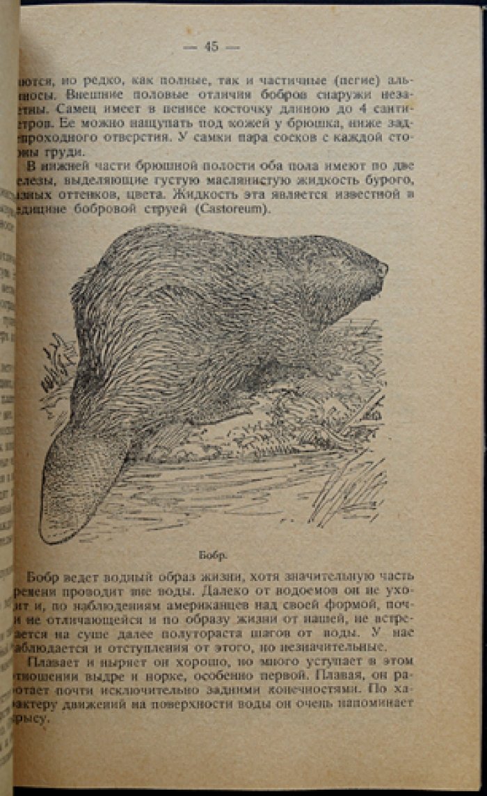 Промысловые звери пресных водоёмов СССР: речная выдра, норка, выхухоль, речной бобр и водяная крыса