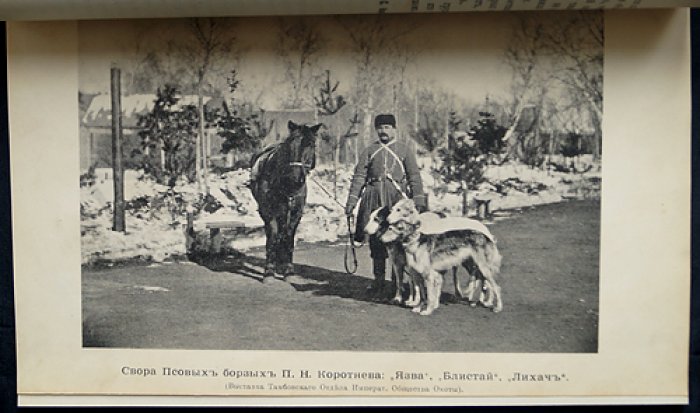 «Природа и охота» — иллюстрированный журнал. 1891, № 6 (Июнь)
