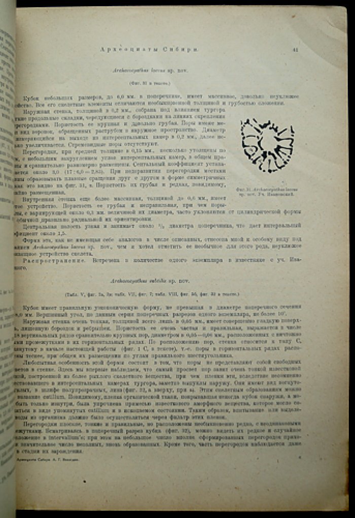 Археоциаты Сибири. Вып. 2: Фауны кембрийских известняков Алтая