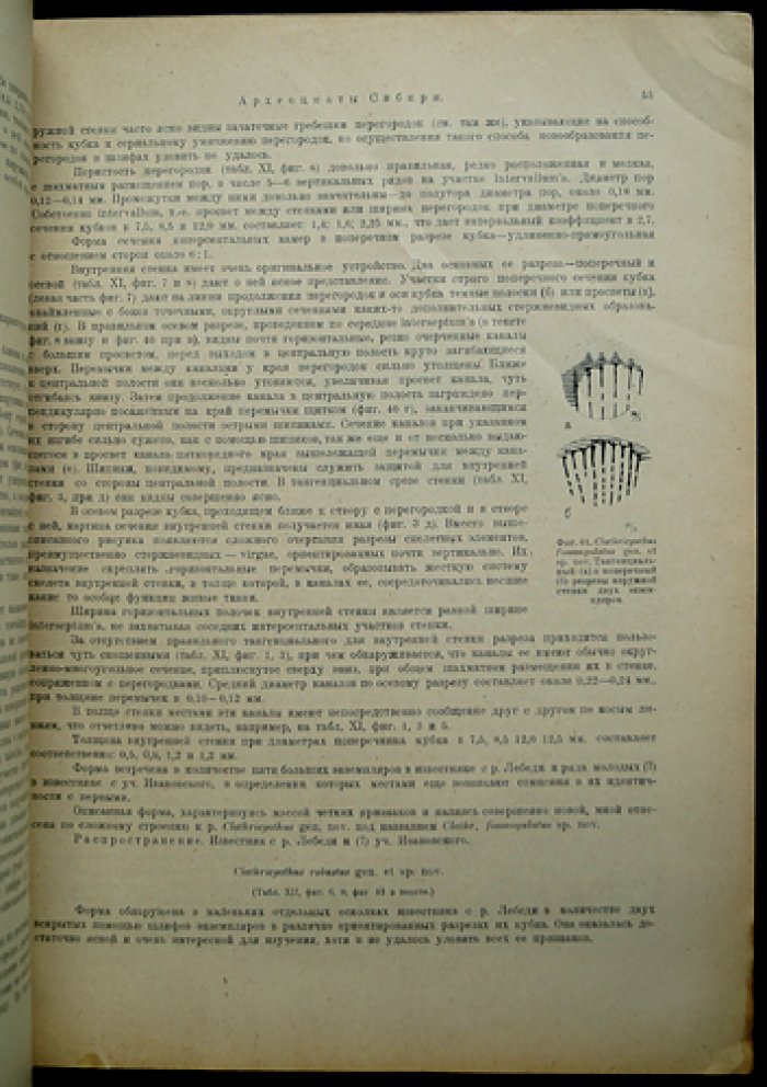 Археоциаты Сибири. Вып. 2: Фауны кембрийских известняков Алтая