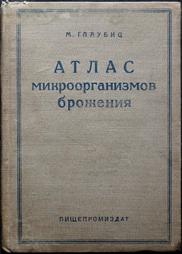 Атлас микроорганизмов брожения (с рисунками) — русское издание