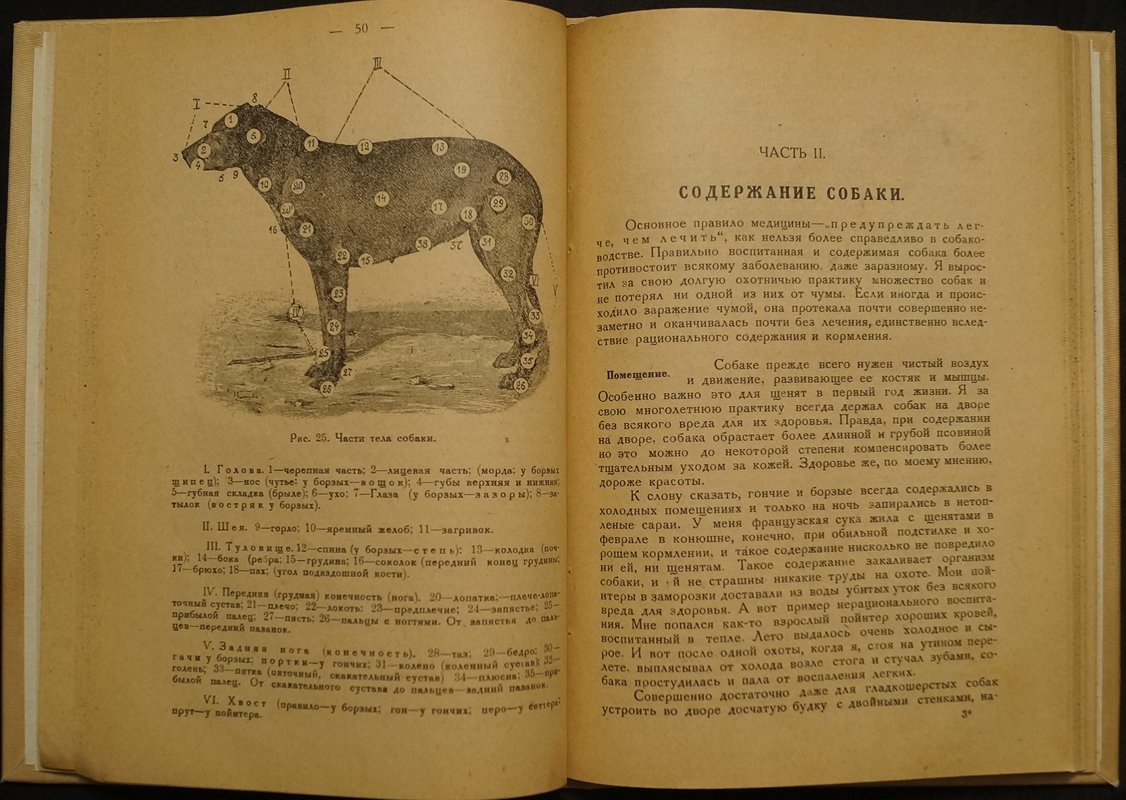 Первая помощь заболевшей собаке: конспект лекций проф. В. С. Михайлова (2-е исправл. и доп.)