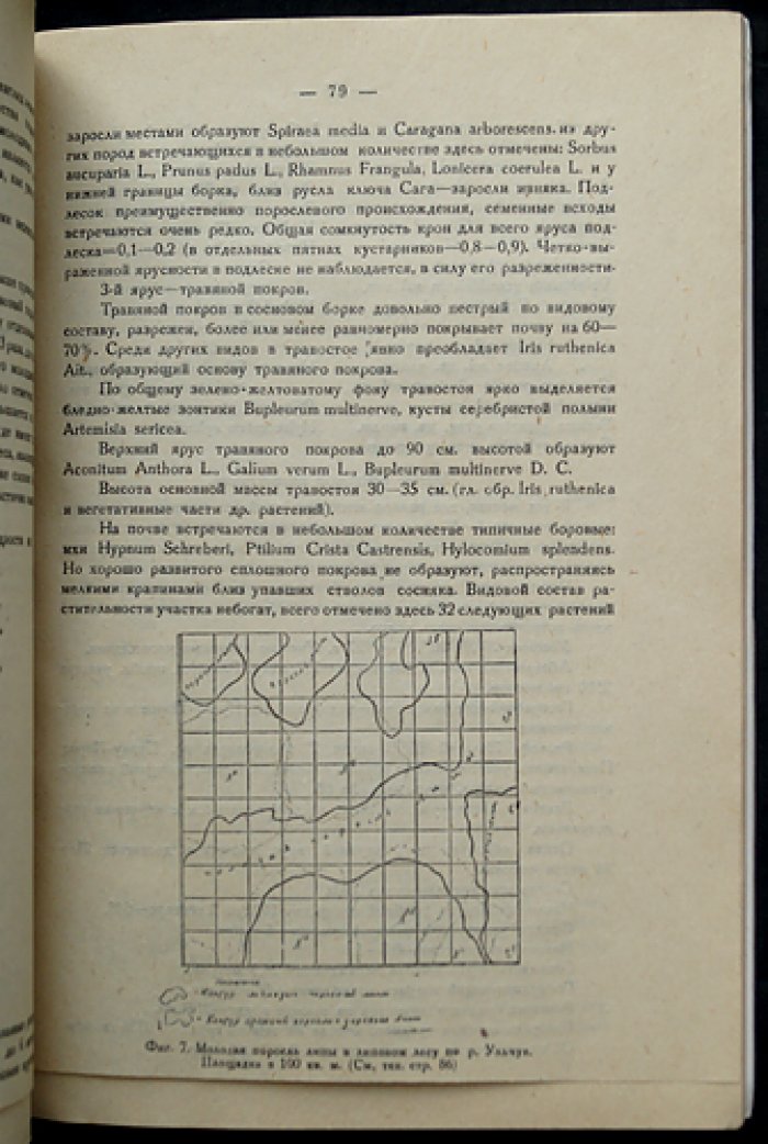 Пихтовая тайга на предгорьях Алтая: ботанические исследования (выпуск 1 серии по Урало-Кузбассу)