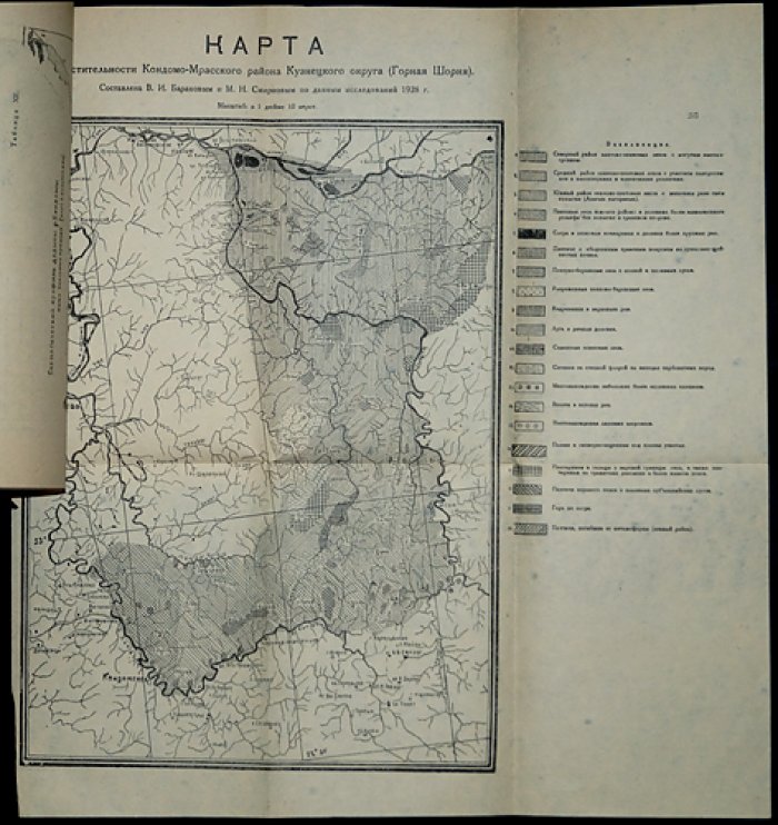 Пихтовая тайга на предгорьях Алтая: ботанические исследования (выпуск 1 серии по Урало-Кузбассу)
