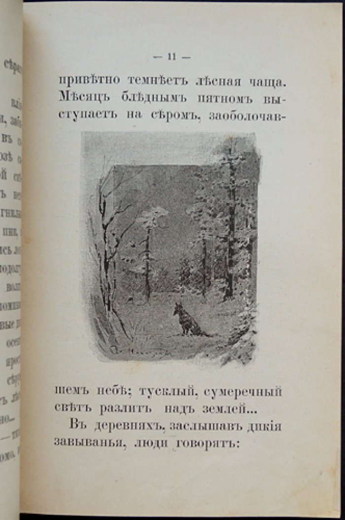 Волк: сказка