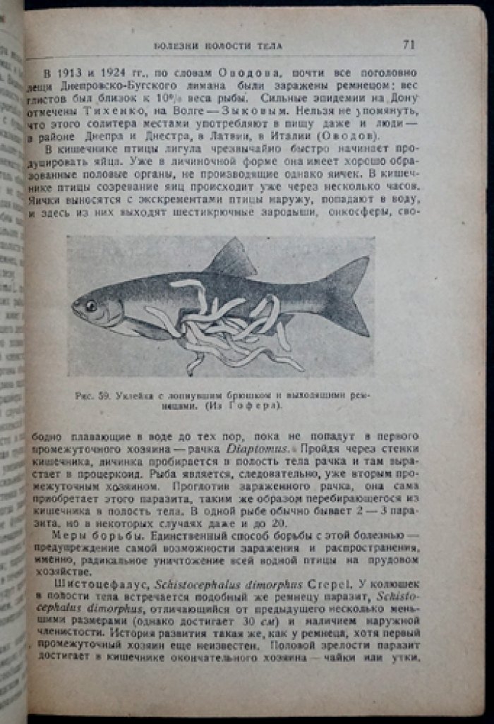 Е. К. Суворов. Болезни рыб: курс лекций