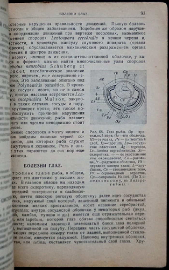 Е. К. Суворов. Болезни рыб: курс лекций
