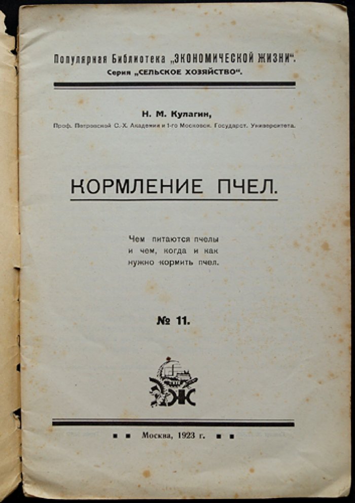 Кормление пчёл: чем питаться и как правильно организовать подкормку