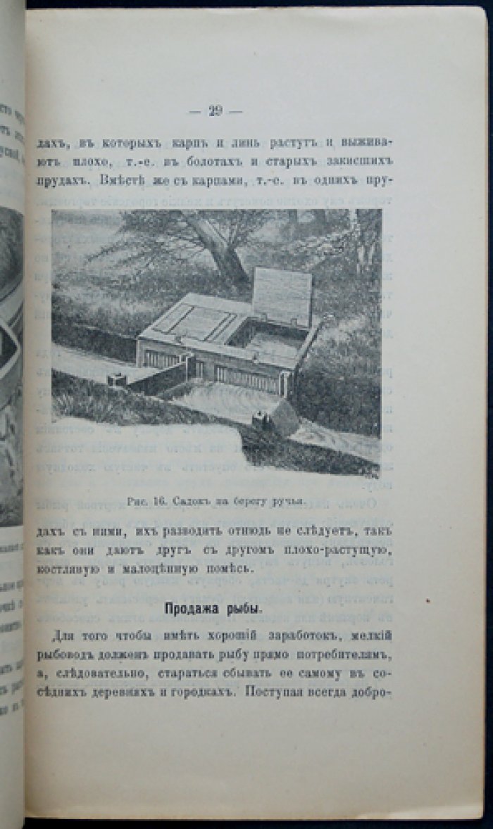 Вилькош Фердинанд. Доктор: Разведение рыбы в небольших прудках — практическое пособие для владельцев «водных полей»