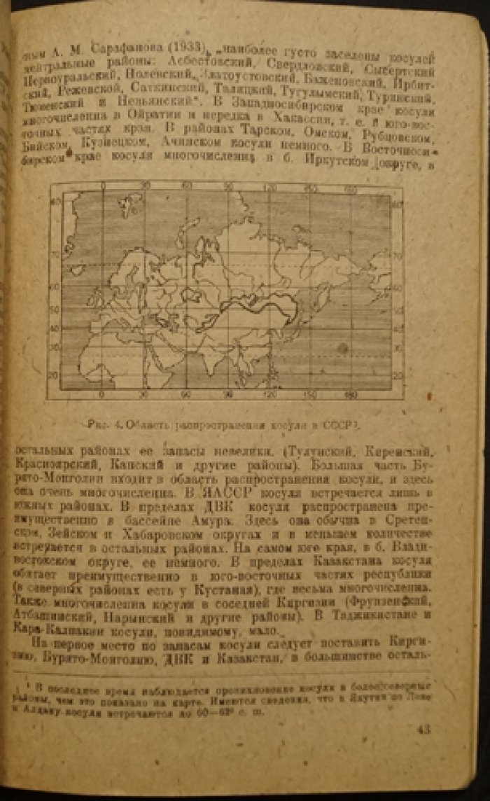 Заготовка мяса диких животных: практическое руководство