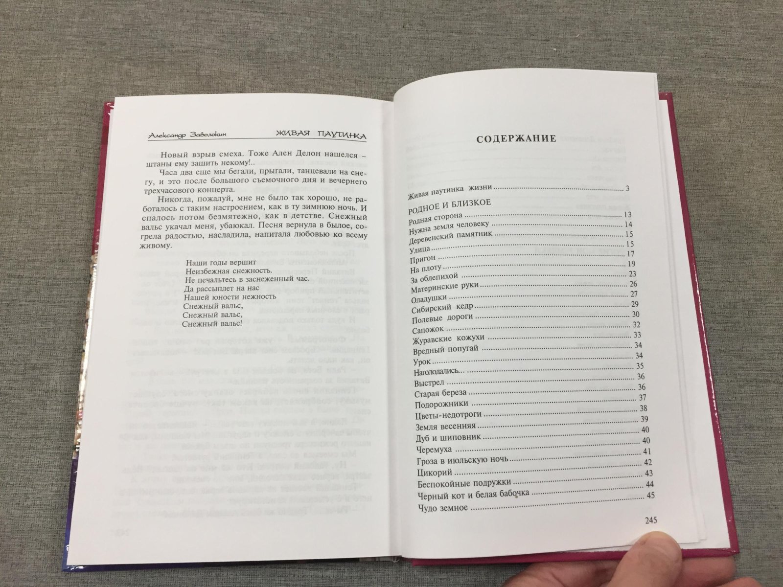 Заволокин Александр. Живая паутинка.