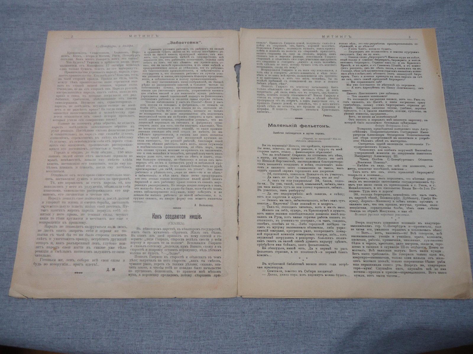 Митинг. Еженедельный сатирический журнал. № 2, 1905