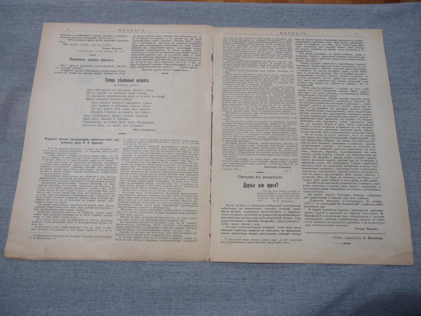Митинг. Еженедельный сатирический журнал. № 2, 1905