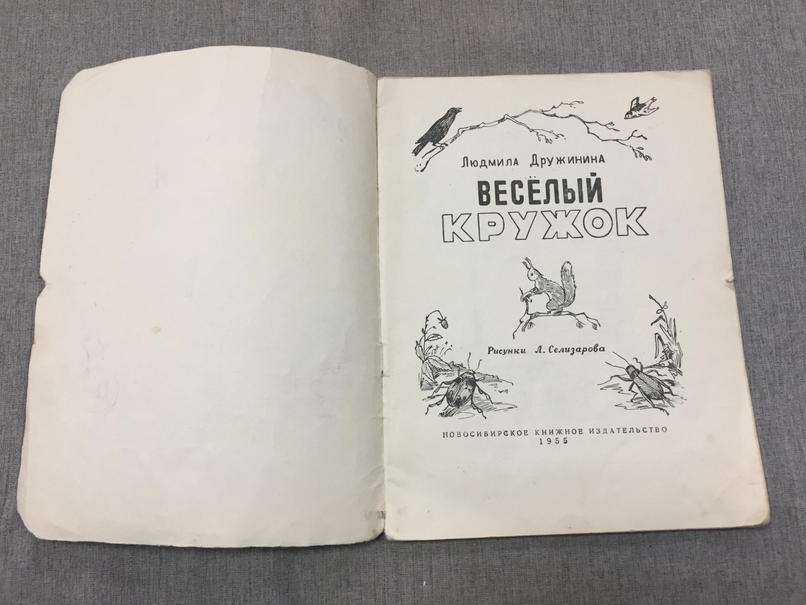 Дружинина Людмила. Веселый кружок.