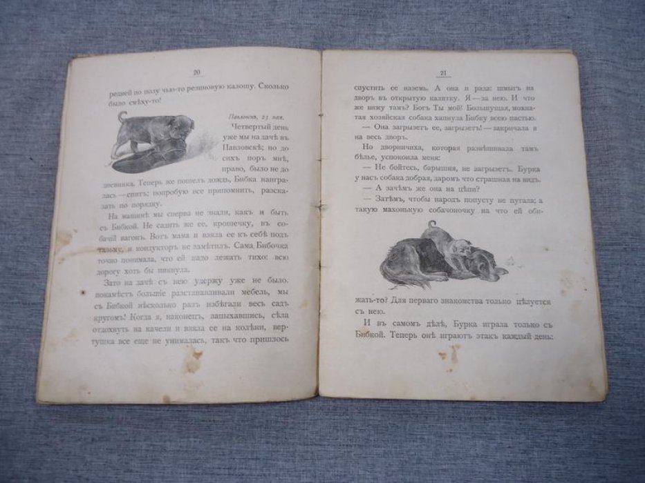 Авенариус В.П. История мопсика (Из дневника Любочки).