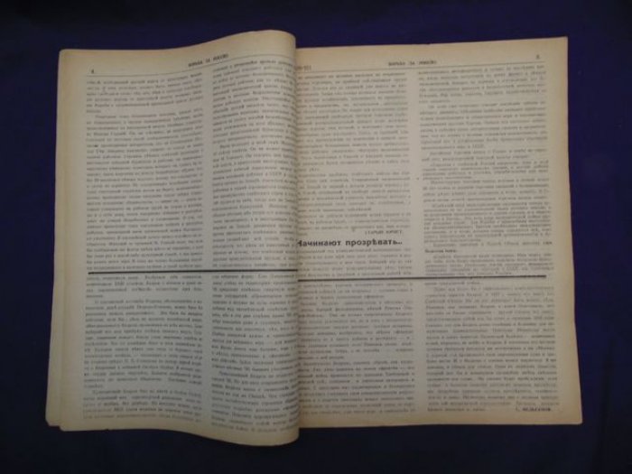 Борьба за Россию. № 220/221, 15 апреля 1931 г. Еженедельное издание.