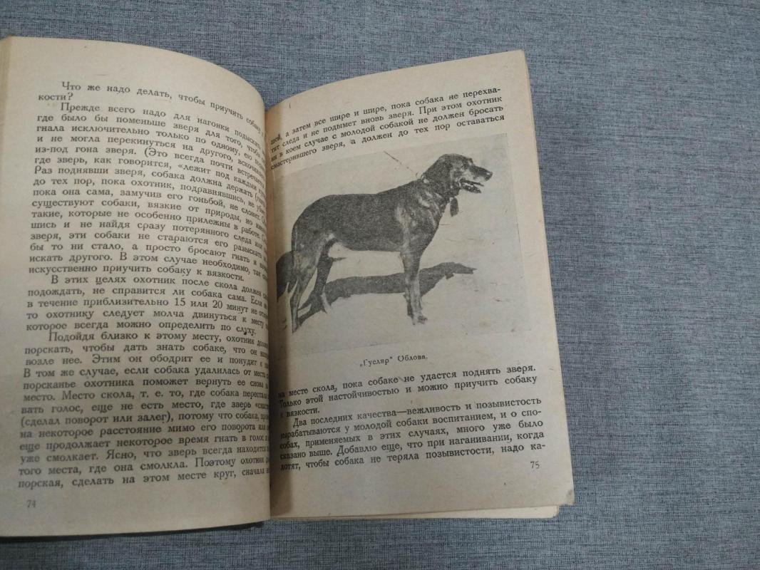 Челищев Н.Н. Гончая. Ее воспитание и охота с ней.