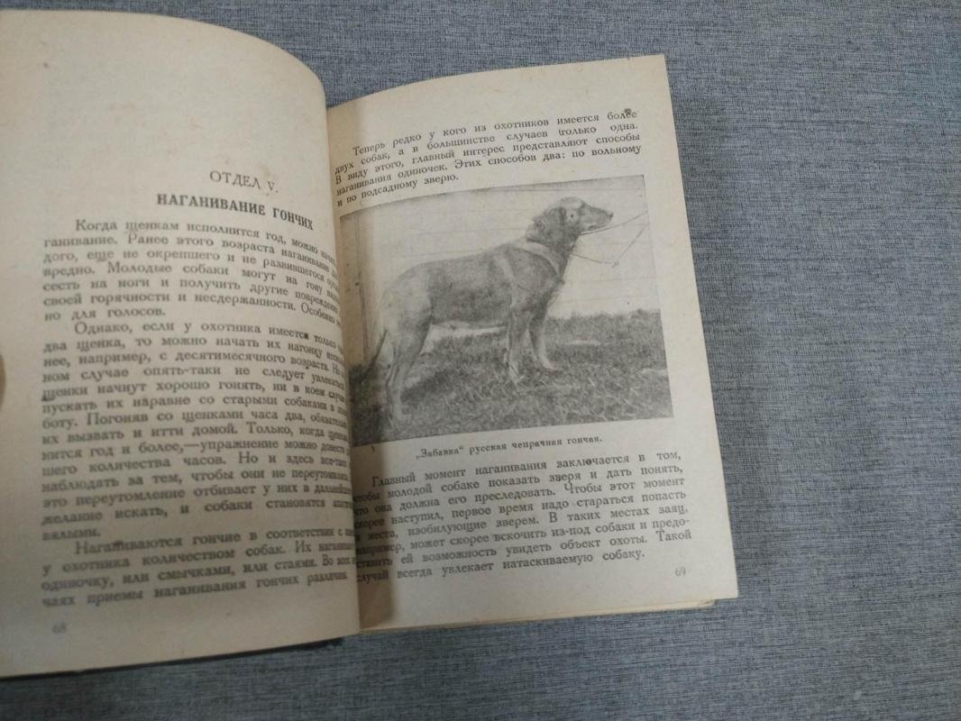 Челищев Н.Н. Гончая. Ее воспитание и охота с ней.