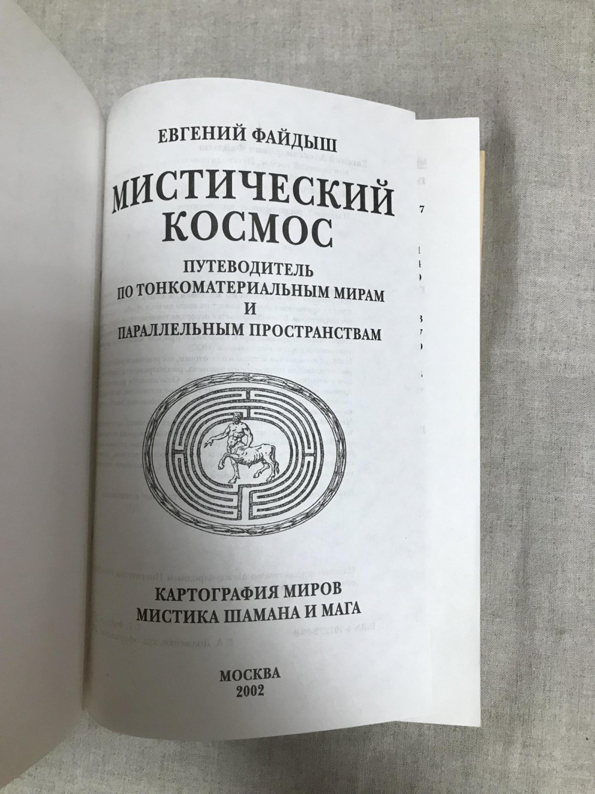 Файдыш Е.А. Мистический космос. Путеводитель по тонкоматериальным мирам и параллельным пространствам. Картография миров. Мистика шамана и мага.