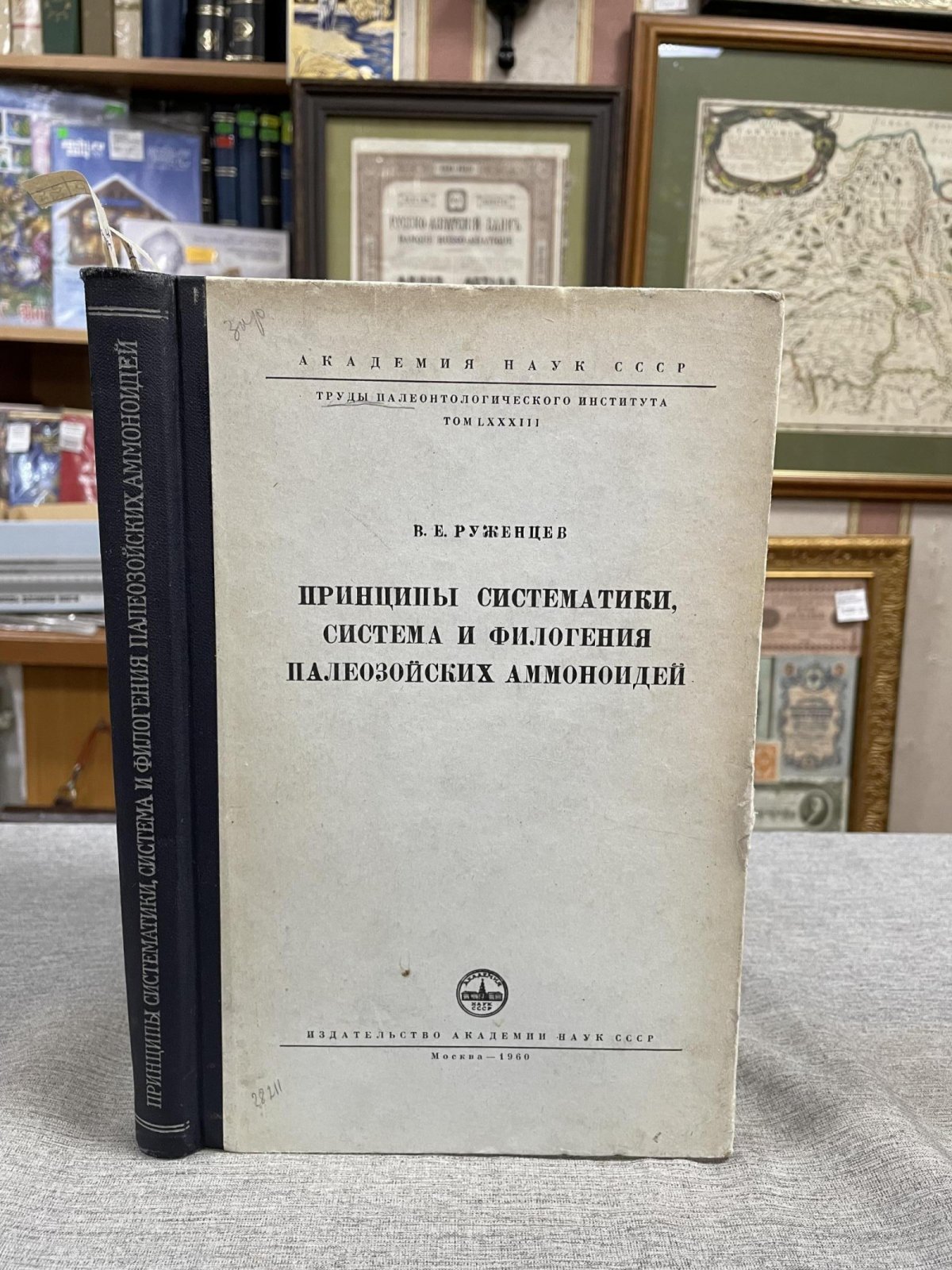 Руженцев В.Е. Принципы систематики, система и филогения палеозойских аммоноидей