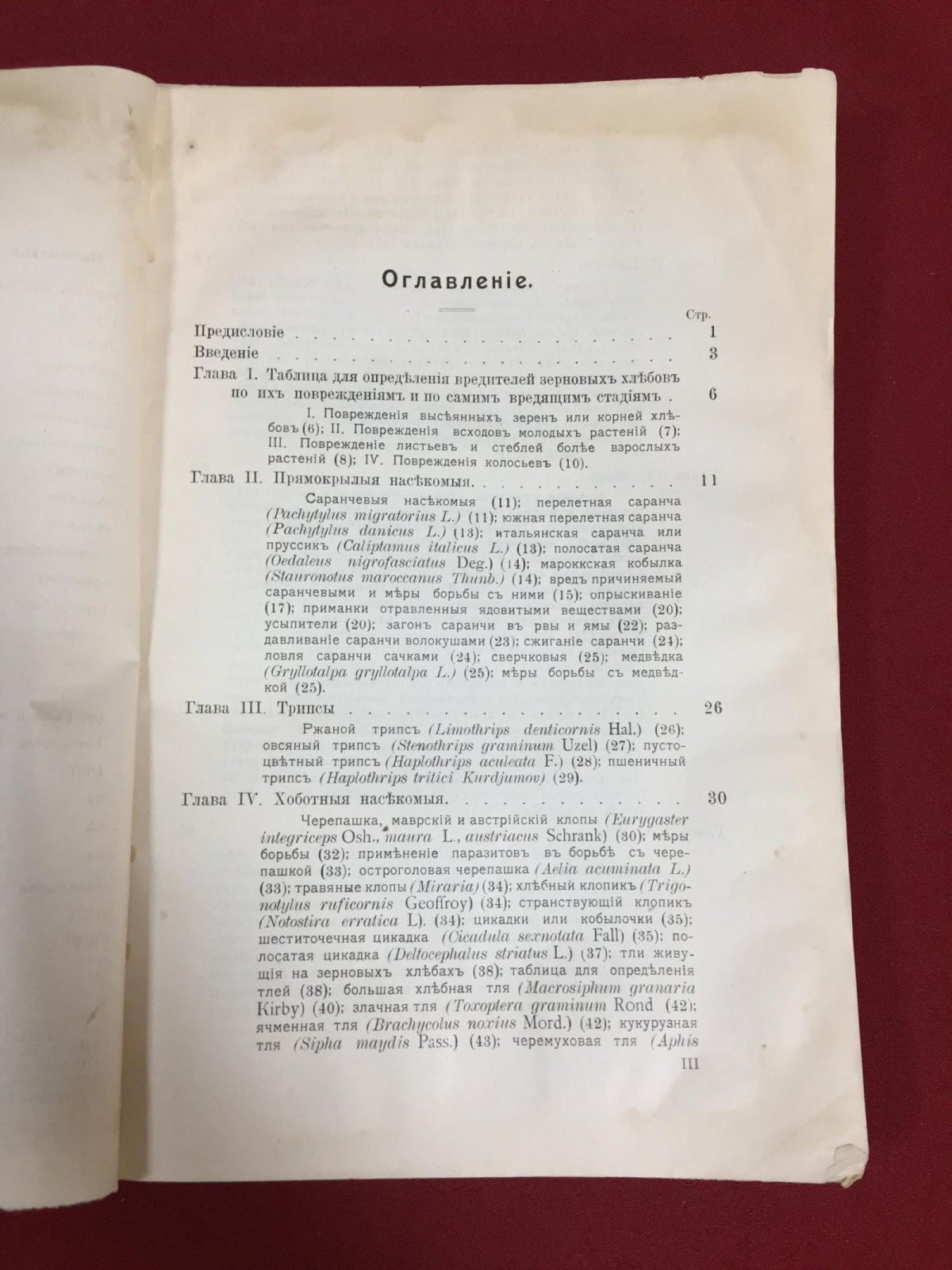 Курдюмов Н. В. Главнейшие насекомые, вредящие зерновым злакам в средней и южной полосе России.