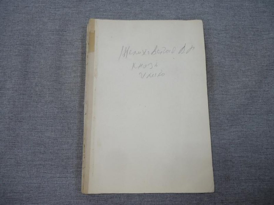 Желиховская В. Князь Илико маленький кавказский пленник.