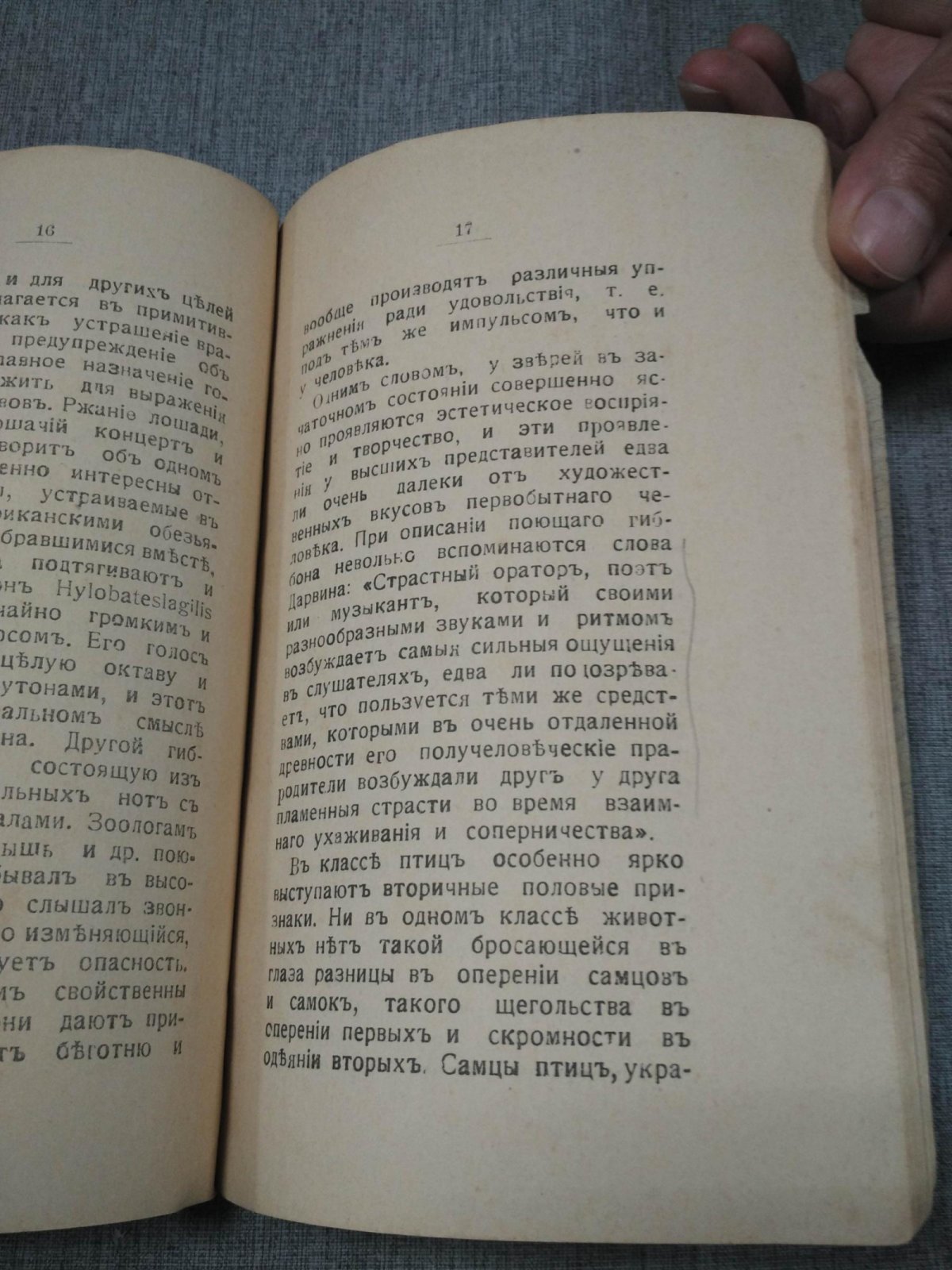 Сапожников В.В., проф. Дарвинизм и эстетика. (Юбилейная речь)