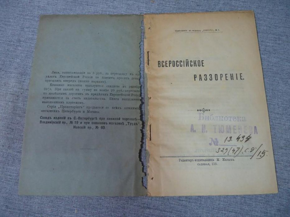 Плеханов Г.В. Всероссийское раззорение.