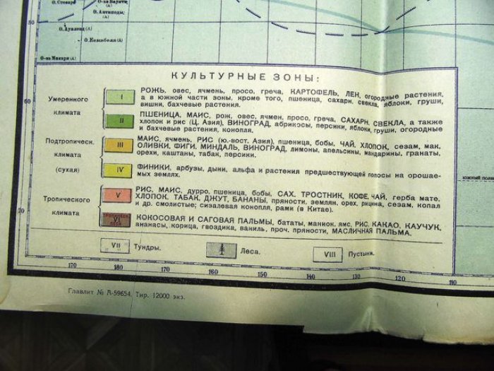 Силищенский М.И. Карта. Схематическая карта Мирового Хозяйства 1920-ые годы
