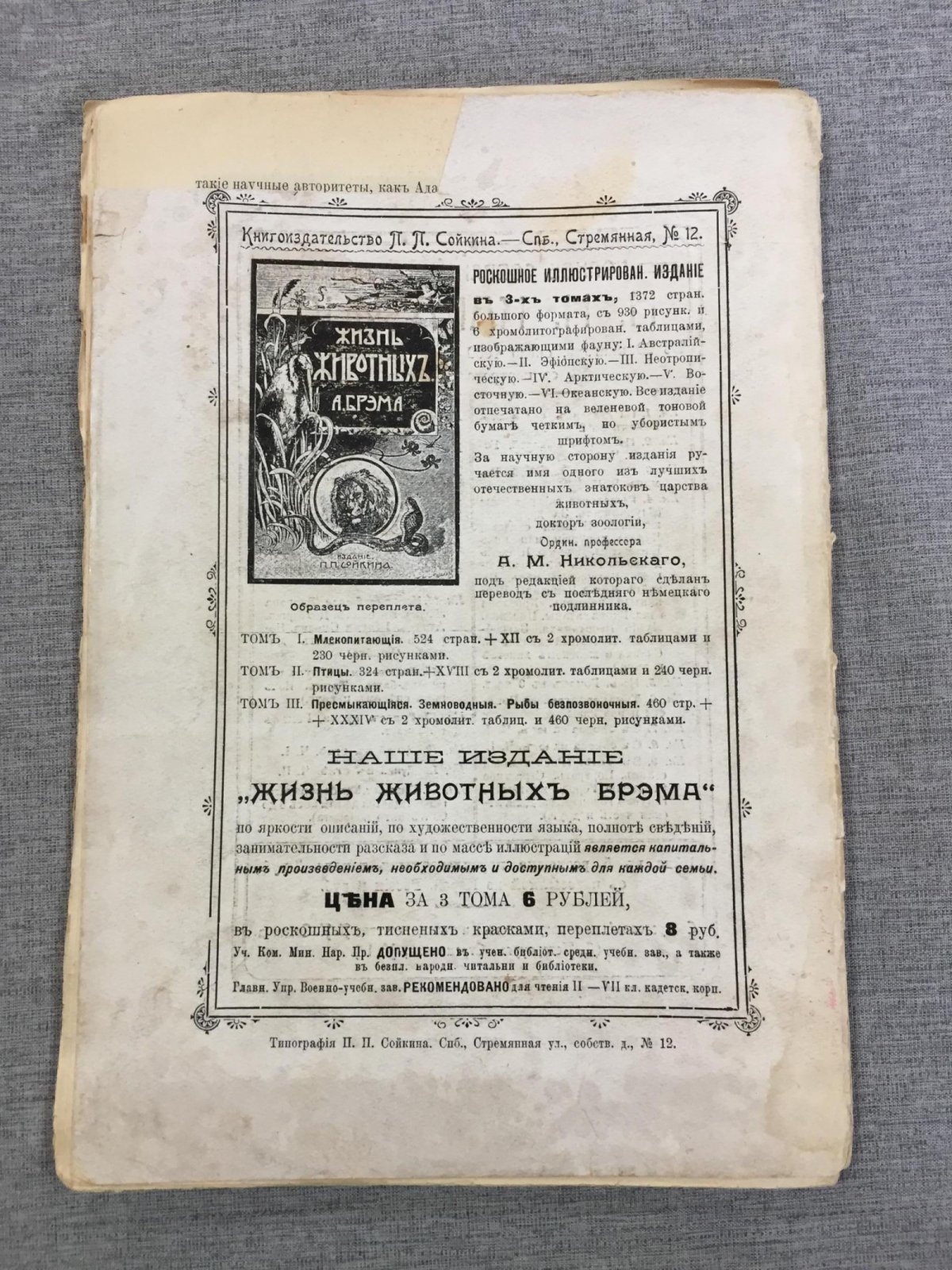 Мир приключений. Ежемесячный иллюстрированный сборник. Книга 8, за 1910 г.