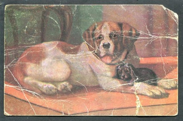 Открытка. Почтовый штемпель `Тульчин - Вапнярка` 1919 г.