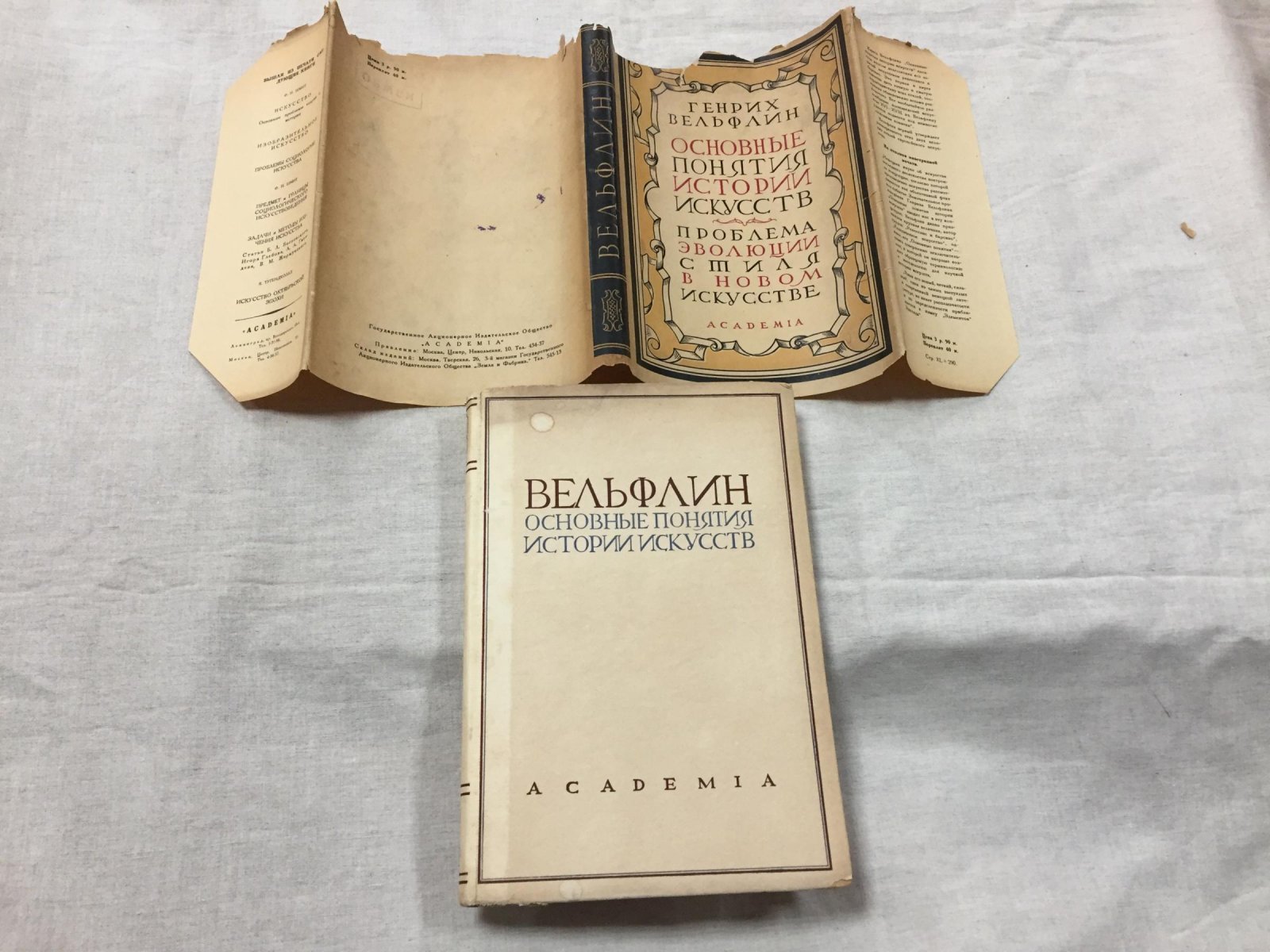 Вельфлин Г. Основные понятия истории искусств. Проблема эволюции стиля в новом искусстве.