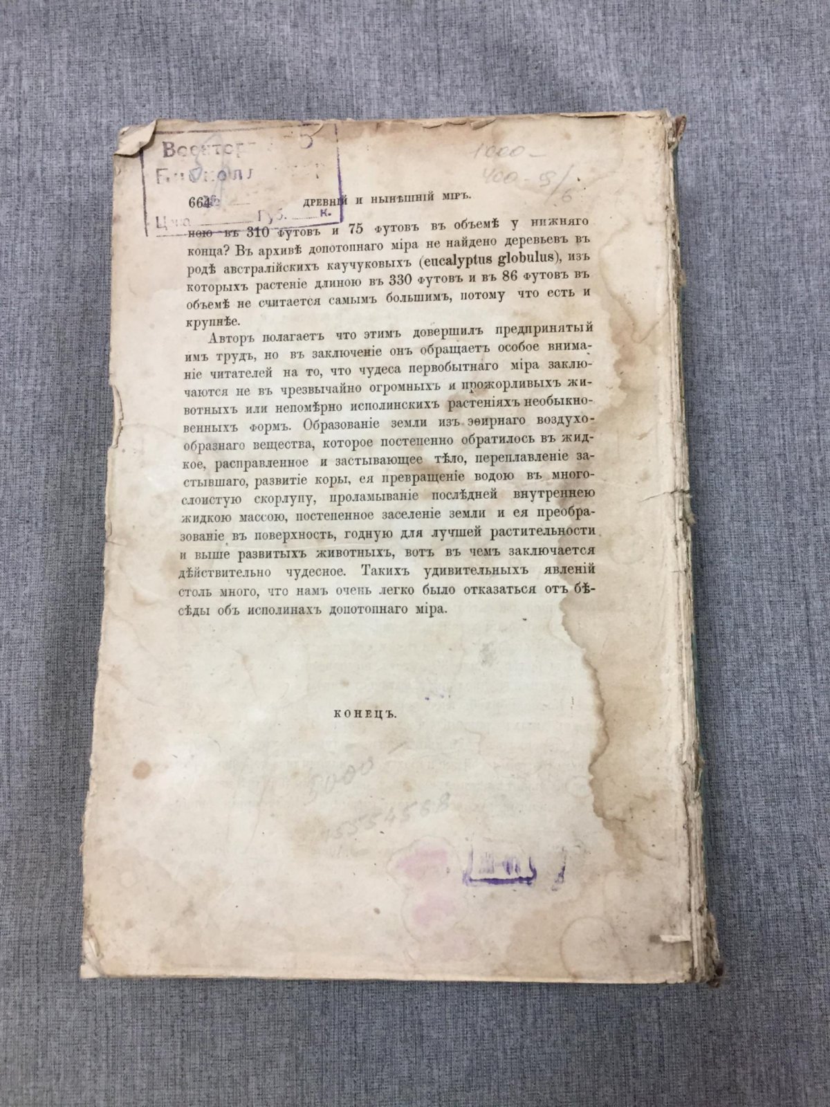 Циммерман Ф.А. Мир до сотворения человека. Общепонятное изложение первобытного состояния нашей планеты.