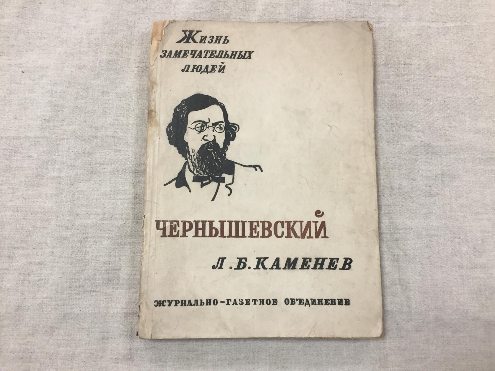 Каменев Л.Б. Чернышевский. В книге 12 иллюстраций