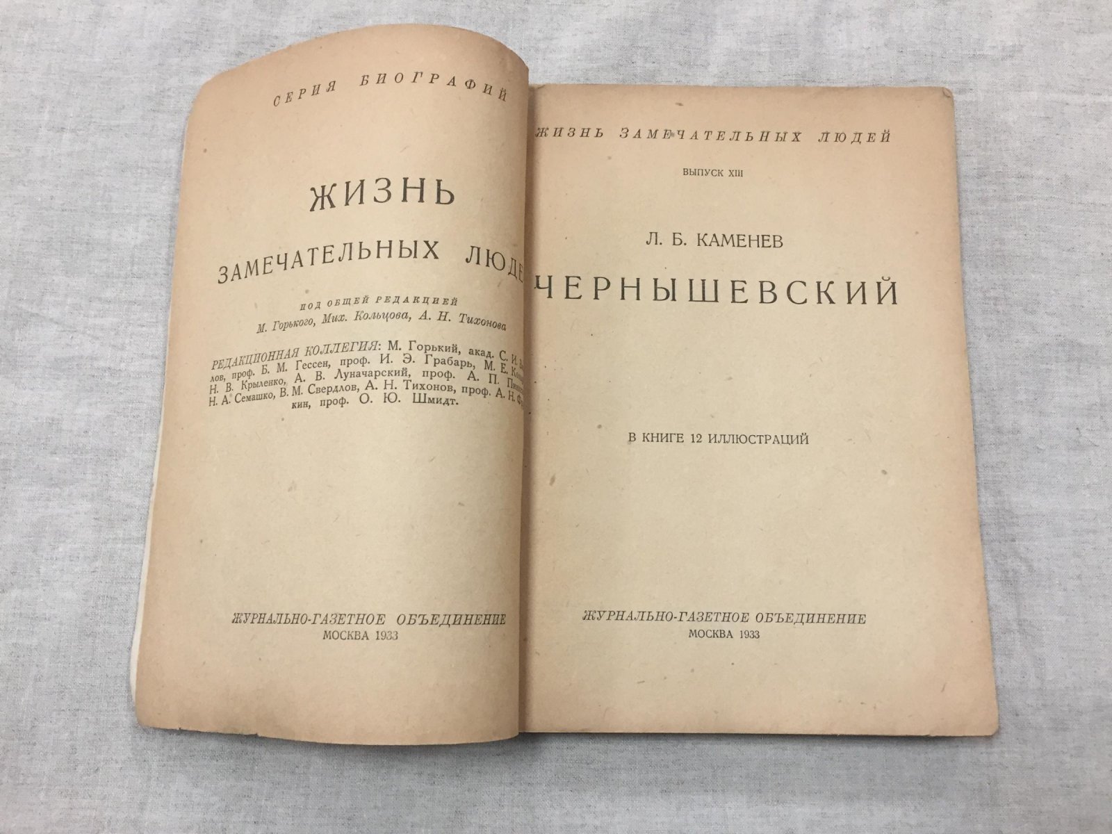 Каменев Л.Б. Чернышевский. В книге 12 иллюстраций