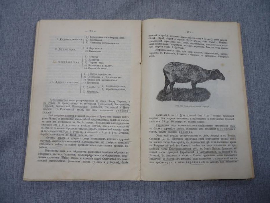Альмединген Александр. Учебник товароведения, с приложением словаря наименований некоторых товаров на русском, немецком, французском и английском языках, а также схем нескольких производств.