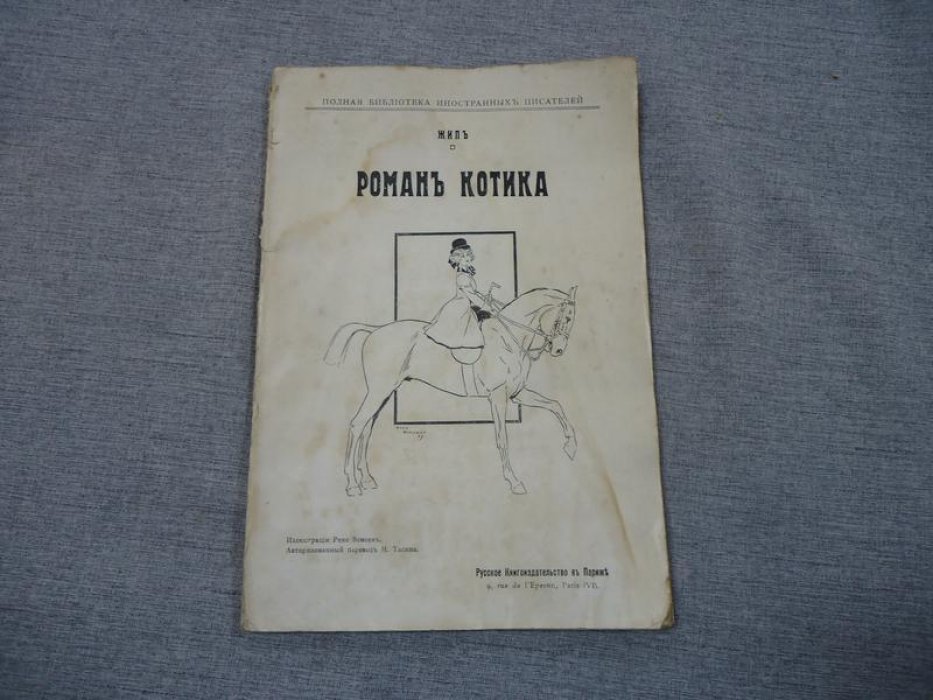 Жип. Роман Котика.