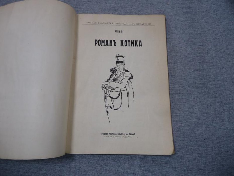 Жип. Роман Котика.