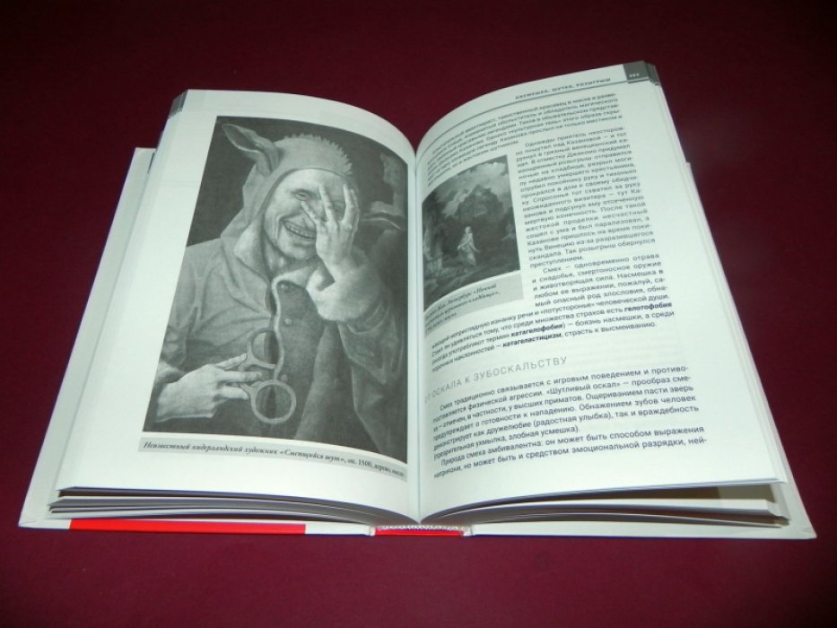 Щербинина Ю.В. Злоречие: Иллюстрированная история.