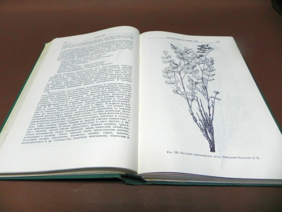 Коровин Е.П. Растительность Средней Азии и Южного Казахстана. Книга II.